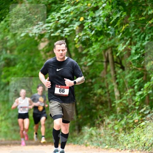 11.10.2026 - Bramfelder Halbmarathon 2026 Dr. Thomas Lammeyer http://msf.ph/oto/10829616 11.10.2026 11:11:09 Laufen 66 meine-sportfotos.de