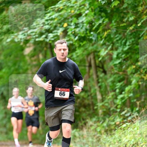 11.10.2026 - Bramfelder Halbmarathon 2026 Dr. Thomas Lammeyer http://msf.ph/oto/10829623 11.10.2026 11:11:10 Laufen 66 meine-sportfotos.de