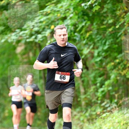 11.10.2026 - Bramfelder Halbmarathon 2026 Dr. Thomas Lammeyer http://msf.ph/oto/10829630 11.10.2026 11:11:11 Laufen 66 meine-sportfotos.de