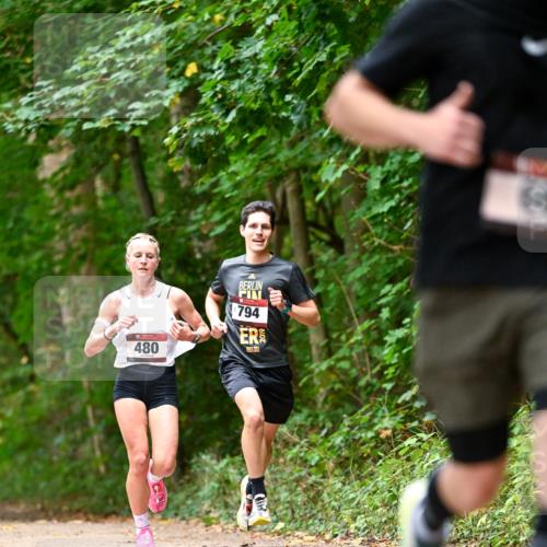 11.10.2026 - Bramfelder Halbmarathon 2026 Dr. Thomas Lammeyer http://msf.ph/oto/10829641 11.10.2026 11:11:12 Laufen 480, 794 meine-sportfotos.de