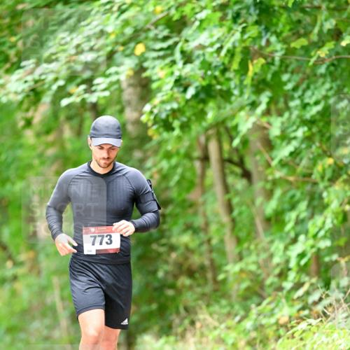 11.10.2026 - Bramfelder Halbmarathon 2026 Dr. Thomas Lammeyer http://msf.ph/oto/10829797 11.10.2026 11:11:37 Laufen 246, 773 meine-sportfotos.de