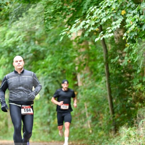 11.10.2026 - Bramfelder Halbmarathon 2026 Dr. Thomas Lammeyer http://msf.ph/oto/10829872 11.10.2026 11:11:52 Laufen 194, 452 meine-sportfotos.de