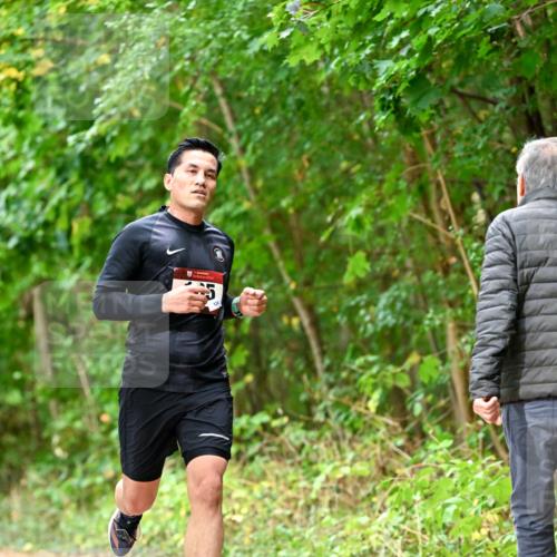 11.10.2026 - Bramfelder Halbmarathon 2026 Dr. Thomas Lammeyer http://msf.ph/oto/10830067 11.10.2026 11:12:25 Laufen 124 meine-sportfotos.de
