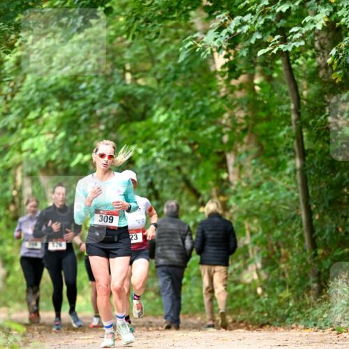 11.10.2026 - Bramfelder Halbmarathon 2026 Dr. Thomas Lammeyer http://msf.ph/oto/10830179 11.10.2026 11:12:46 Laufen 309, 23 meine-sportfotos.de