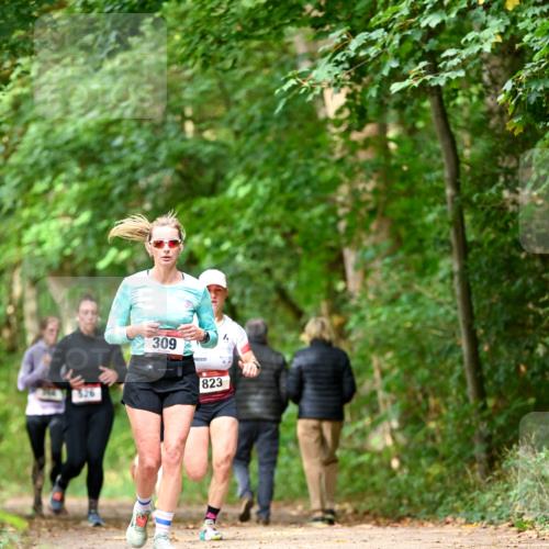 11.10.2026 - Bramfelder Halbmarathon 2026 Dr. Thomas Lammeyer http://msf.ph/oto/10830183 11.10.2026 11:12:46 Laufen 309, 823 meine-sportfotos.de