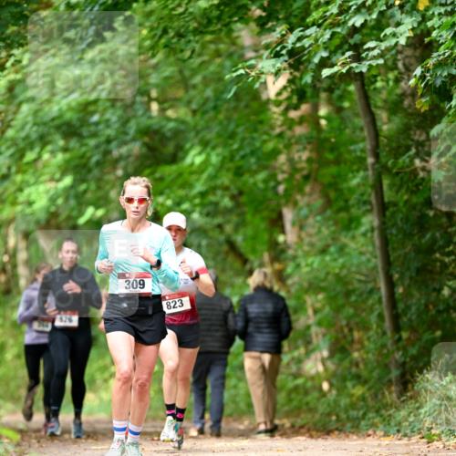 11.10.2026 - Bramfelder Halbmarathon 2026 Dr. Thomas Lammeyer http://msf.ph/oto/10830184 11.10.2026 11:12:46 Laufen 309, 823 meine-sportfotos.de