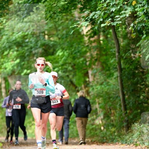 11.10.2026 - Bramfelder Halbmarathon 2026 Dr. Thomas Lammeyer http://msf.ph/oto/10830186 11.10.2026 11:12:46 Laufen 526, 309, 823 meine-sportfotos.de