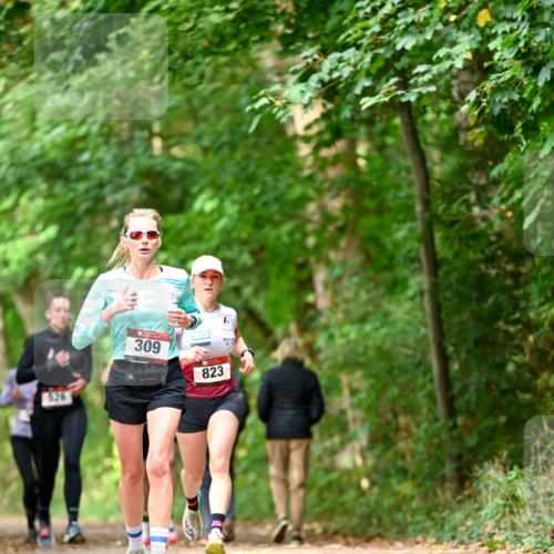 11.10.2026 - Bramfelder Halbmarathon 2026 Dr. Thomas Lammeyer http://msf.ph/oto/10830189 11.10.2026 11:12:47 Laufen 309, 823 meine-sportfotos.de