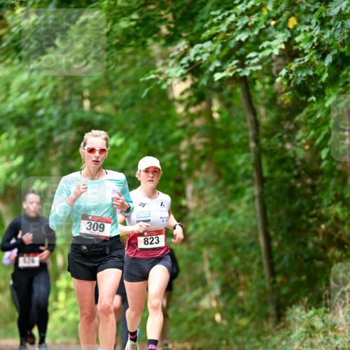11.10.2026 - Bramfelder Halbmarathon 2026 Dr. Thomas Lammeyer http://msf.ph/oto/10830198 11.10.2026 11:12:47 Laufen 309, 823 meine-sportfotos.de