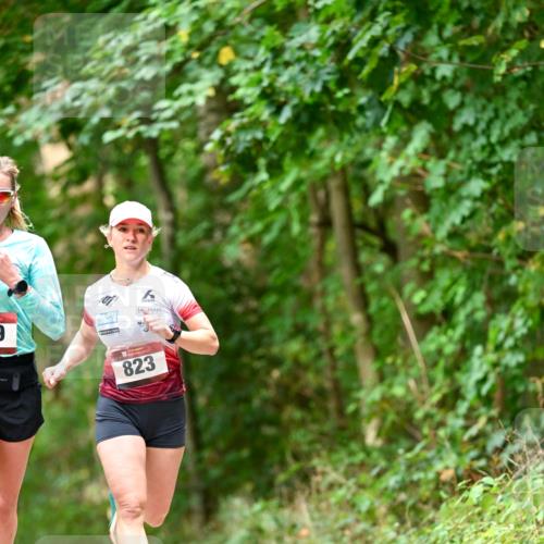11.10.2026 - Bramfelder Halbmarathon 2026 Dr. Thomas Lammeyer http://msf.ph/oto/10830208 11.10.2026 11:12:48 Laufen 9, 823 meine-sportfotos.de