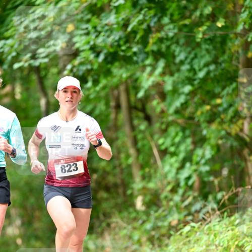 11.10.2026 - Bramfelder Halbmarathon 2026 Dr. Thomas Lammeyer http://msf.ph/oto/10830215 11.10.2026 11:12:49 Laufen 823 meine-sportfotos.de