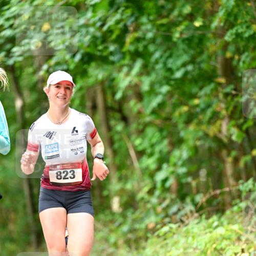 11.10.2026 - Bramfelder Halbmarathon 2026 Dr. Thomas Lammeyer http://msf.ph/oto/10830219 11.10.2026 11:12:49 Laufen 823 meine-sportfotos.de