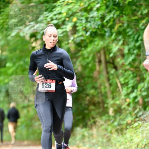 11.10.2026 - Bramfelder Halbmarathon 2026 Dr. Thomas Lammeyer http://msf.ph/oto/10830242 11.10.2026 11:12:53 Laufen 526 meine-sportfotos.de