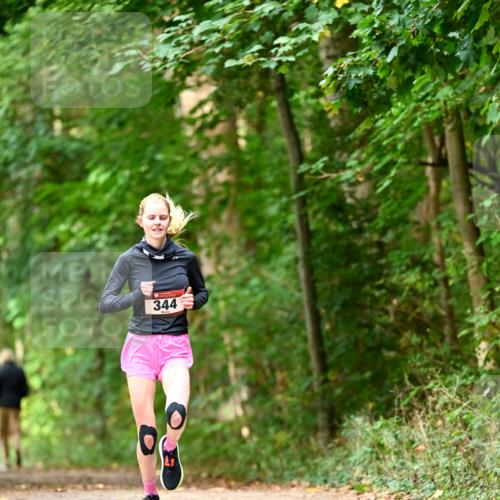 11.10.2026 - Bramfelder Halbmarathon 2026 Dr. Thomas Lammeyer http://msf.ph/oto/10830298 11.10.2026 11:13:04 Laufen 344 meine-sportfotos.de