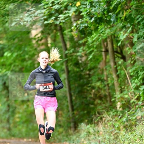 11.10.2026 - Bramfelder Halbmarathon 2026 Dr. Thomas Lammeyer http://msf.ph/oto/10830306 11.10.2026 11:13:05 Laufen 344 meine-sportfotos.de