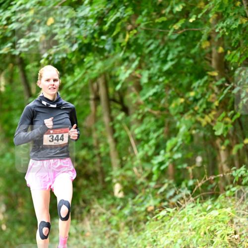 11.10.2026 - Bramfelder Halbmarathon 2026 Dr. Thomas Lammeyer http://msf.ph/oto/10830318 11.10.2026 11:13:05 Laufen 344 meine-sportfotos.de