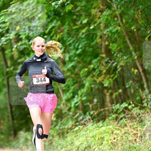 11.10.2026 - Bramfelder Halbmarathon 2026 Dr. Thomas Lammeyer http://msf.ph/oto/10830325 11.10.2026 11:13:06 Laufen 344 meine-sportfotos.de