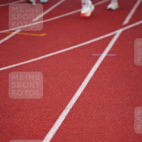 11.10.2026 - Bramfelder Halbmarathon 2026 LAZAROV Photography http://msf.ph/oto/10837648 11.10.2026 09:34:12 Laufen  meine-sportfotos.de