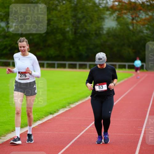 11.10.2026 - Bramfelder Halbmarathon 2026 LAZAROV Photography http://msf.ph/oto/10838445 11.10.2026 09:37:59 Laufen 275, 53 meine-sportfotos.de