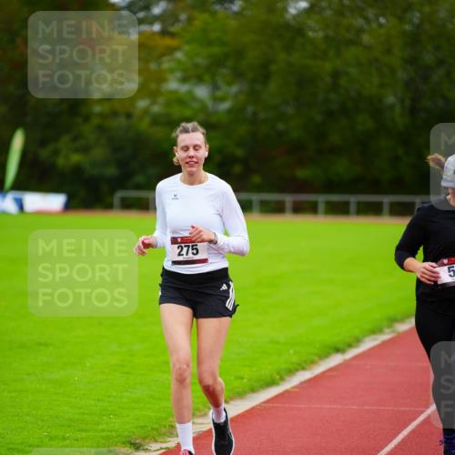 11.10.2026 - Bramfelder Halbmarathon 2026 LAZAROV Photography http://msf.ph/oto/10838451 11.10.2026 09:38:00 Laufen 275, 5 meine-sportfotos.de