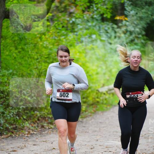 11.10.2026 - Bramfelder Halbmarathon 2026 LAZAROV Photography http://msf.ph/oto/10838783 11.10.2026 10:44:30 Laufen 602 meine-sportfotos.de