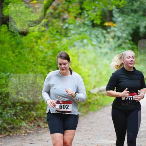 11.10.2026 - Bramfelder Halbmarathon 2026 LAZAROV Photography http://msf.ph/oto/10838789 11.10.2026 10:44:30 Laufen 602, 601 meine-sportfotos.de