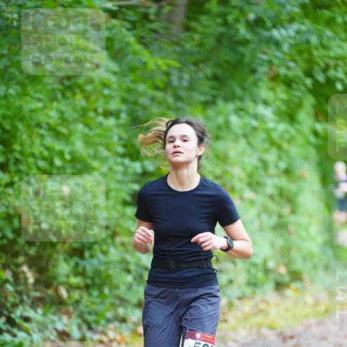 11.10.2026 - Bramfelder Halbmarathon 2026 LAZAROV Photography http://msf.ph/oto/10838915 11.10.2026 11:10:27 Laufen 506 meine-sportfotos.de