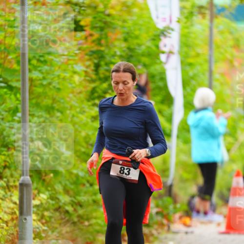 11.10.2026 - Bramfelder Halbmarathon 2026 LAZAROV Photography http://msf.ph/oto/10841037 11.10.2026 10:03:18 Laufen 83 meine-sportfotos.de