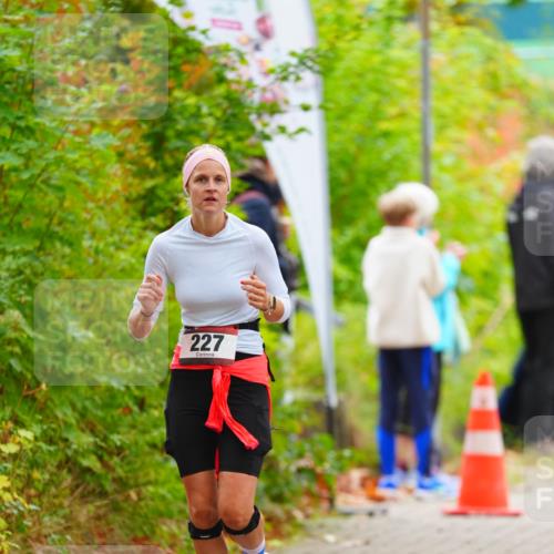 11.10.2026 - Bramfelder Halbmarathon 2026 LAZAROV Photography http://msf.ph/oto/10841138 11.10.2026 10:04:23 Laufen 227 meine-sportfotos.de
