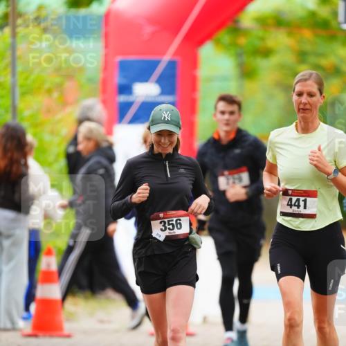 11.10.2026 - Bramfelder Halbmarathon 2026 LAZAROV Photography http://msf.ph/oto/10841312 11.10.2026 10:06:08 Laufen 278, 356, 441 meine-sportfotos.de