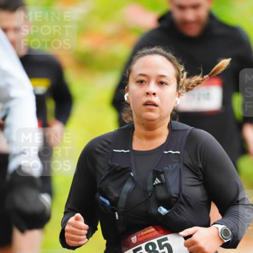 11.10.2026 - Bramfelder Halbmarathon 2026 LAZAROV Photography http://msf.ph/oto/10841538 11.10.2026 10:09:56 Laufen 35, 585, 75 meine-sportfotos.de