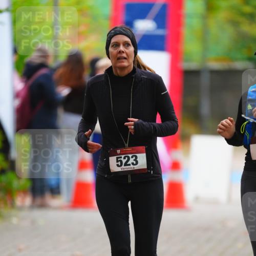 11.10.2026 - Bramfelder Halbmarathon 2026 LAZAROV Photography http://msf.ph/oto/10841618 11.10.2026 10:11:18 Laufen 523 meine-sportfotos.de