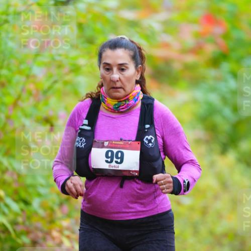 11.10.2026 - Bramfelder Halbmarathon 2026 LAZAROV Photography http://msf.ph/oto/10841665 11.10.2026 10:12:01 Laufen 99 meine-sportfotos.de