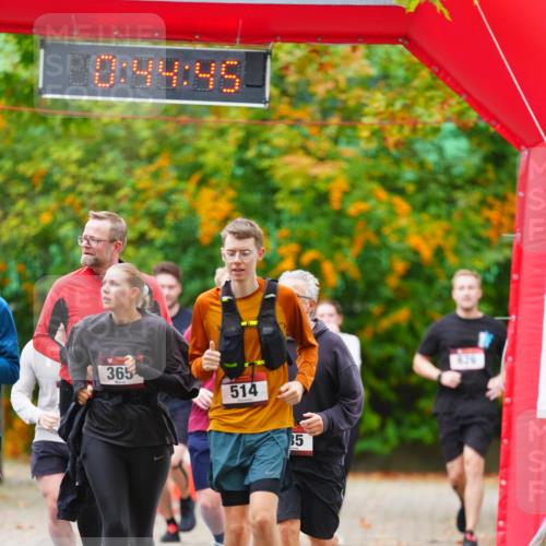 11.10.2026 - Bramfelder Halbmarathon 2026 LAZAROV Photography http://msf.ph/oto/10841831 11.10.2026 10:14:43 Laufen 00, 44, 45, 365, 514, 35 meine-sportfotos.de