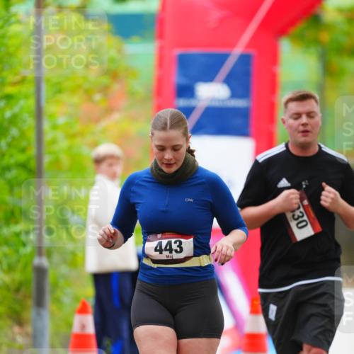 11.10.2026 - Bramfelder Halbmarathon 2026 LAZAROV Photography http://msf.ph/oto/10842122 11.10.2026 10:19:02 Laufen 443, 30 meine-sportfotos.de