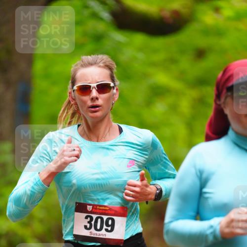 11.10.2026 - Bramfelder Halbmarathon 2026 LAZAROV Photography http://msf.ph/oto/10842357 11.10.2026 10:27:41 Laufen 35, 309 meine-sportfotos.de