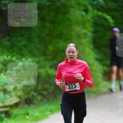 11.10.2026 - Bramfelder Halbmarathon 2026 LAZAROV Photography http://msf.ph/oto/10842433 11.10.2026 10:29:41 Laufen 323 meine-sportfotos.de