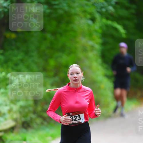 11.10.2026 - Bramfelder Halbmarathon 2026 LAZAROV Photography http://msf.ph/oto/10842434 11.10.2026 10:29:42 Laufen 323 meine-sportfotos.de