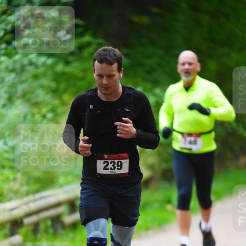 11.10.2026 - Bramfelder Halbmarathon 2026 LAZAROV Photography http://msf.ph/oto/10842475 11.10.2026 10:30:41 Laufen 239 meine-sportfotos.de