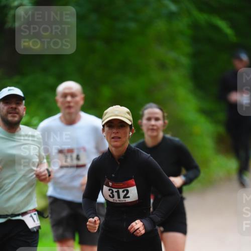 11.10.2026 - Bramfelder Halbmarathon 2026 LAZAROV Photography http://msf.ph/oto/10842489 11.10.2026 10:30:47 Laufen 114, 312 meine-sportfotos.de