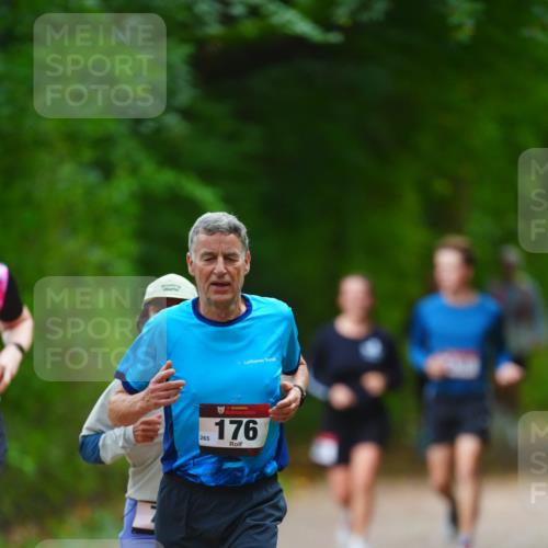11.10.2026 - Bramfelder Halbmarathon 2026 LAZAROV Photography http://msf.ph/oto/10842631 11.10.2026 10:32:47 Laufen 5, 2176 meine-sportfotos.de