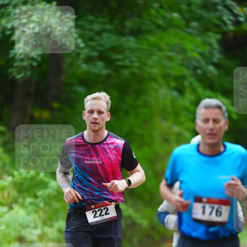 11.10.2026 - Bramfelder Halbmarathon 2026 LAZAROV Photography http://msf.ph/oto/10842633 11.10.2026 10:32:48 Laufen 222, 176 meine-sportfotos.de