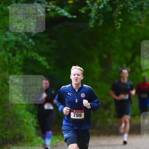 11.10.2026 - Bramfelder Halbmarathon 2026 LAZAROV Photography http://msf.ph/oto/10842947 11.10.2026 10:37:28 Laufen 5, 799 meine-sportfotos.de