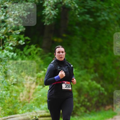 11.10.2026 - Bramfelder Halbmarathon 2026 LAZAROV Photography http://msf.ph/oto/10842969 11.10.2026 10:37:38 Laufen 355 meine-sportfotos.de