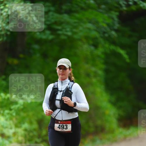 11.10.2026 - Bramfelder Halbmarathon 2026 LAZAROV Photography http://msf.ph/oto/10842987 11.10.2026 10:37:53 Laufen 493 meine-sportfotos.de