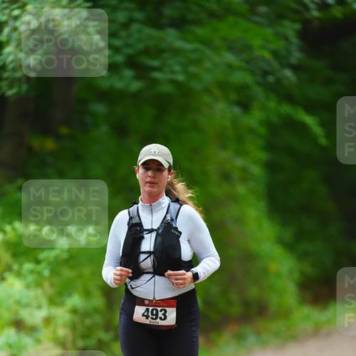11.10.2026 - Bramfelder Halbmarathon 2026 LAZAROV Photography http://msf.ph/oto/10842988 11.10.2026 10:37:54 Laufen 493 meine-sportfotos.de