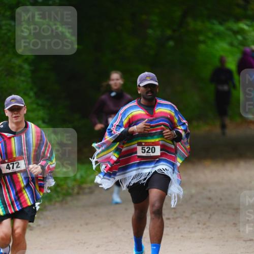 11.10.2026 - Bramfelder Halbmarathon 2026 LAZAROV Photography http://msf.ph/oto/10843025 11.10.2026 10:38:23 Laufen 217, 472, 520 meine-sportfotos.de