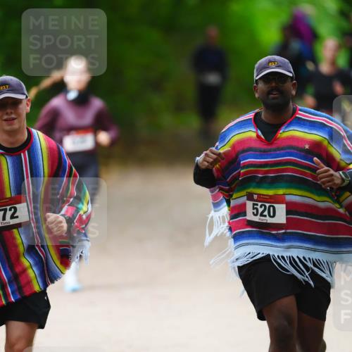 11.10.2026 - Bramfelder Halbmarathon 2026 LAZAROV Photography http://msf.ph/oto/10843031 11.10.2026 10:38:27 Laufen 217, 217, 472, 520 meine-sportfotos.de