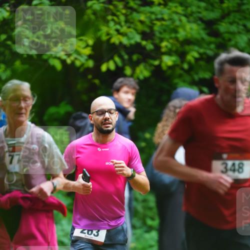 11.10.2026 - Bramfelder Halbmarathon 2026 LAZAROV Photography http://msf.ph/oto/10843820 11.10.2026 10:51:31 Laufen 77, 03, 348 meine-sportfotos.de