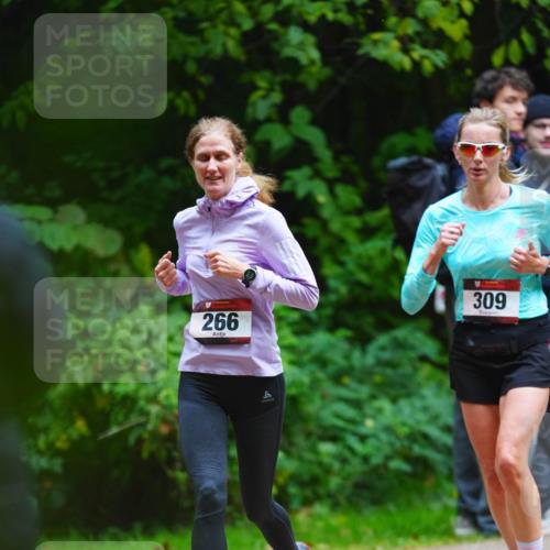 11.10.2026 - Bramfelder Halbmarathon 2026 LAZAROV Photography http://msf.ph/oto/10843929 11.10.2026 10:54:03 Laufen 266, 309 meine-sportfotos.de